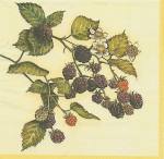 image0159.jpg (5216 octets)