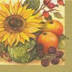 image0174a.jpg (5962 octets)