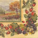 image0175.jpg (6321 octets)