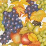 image0176.jpg (5601 octets)