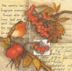 image0179.jpg (6304 octets)