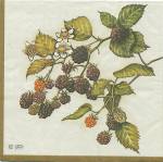 image0188.jpg (5443 octets)