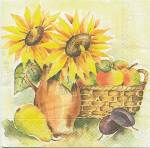 image0191.jpg (5429 octets)