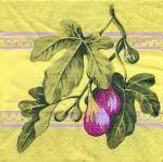 image0193.jpg (5690 octets)