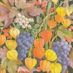 image0197.jpg (6440 octets)
