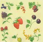 image0210.jpg (5359 octets)