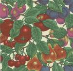 image0238.jpg (6458 octets)