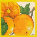 image0242.jpg (4842 octets)
