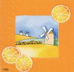 image0245.jpg (3739 octets)