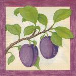image0250.jpg (5413 octets)