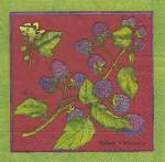 image0259.jpg (4736 octets)