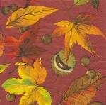 image0274.jpg (5073 octets)