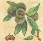 image0294.jpg (5092 octets)