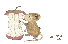 souris28.gif (38212 octets)