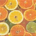 agrumes0010-1b.jpg (3641 octets)