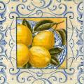 agrumes0013-1b.jpg (5320 octets)