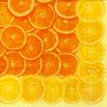 agrumes0015-1.jpg (3140 octets)