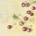 cerises0005a.jpg (2802 octets)