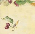 cerises0005c.jpg (2455 octets)
