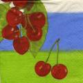 cerises0008-1b.jpg (2991 octets)