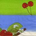 cerises0008-1c.jpg (2663 octets)