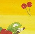 cerises0008c.jpg (3479 octets)