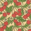 cerises0010-1.jpg (5670 octets)