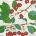 cerises0012-1a.jpg (4495 octets)