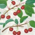 cerises0012-1b.jpg (4531 octets)