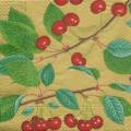 cerises0012-2a.jpg (3546 octets)
