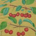 cerises0012-2b.jpg (3546 octets)