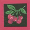 cerises0019-1.jpg (2702 octets)