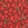 cerises0022-1.jpg (3297 octets)