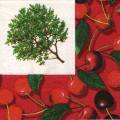 cerises0029-1.jpg (4056 octets)