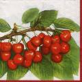 cerises0037-1b.jpg (4030 octets)