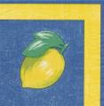 citron0001.jpg (2864 octets)