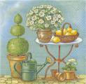 citron0003b.jpg (3872 octets)