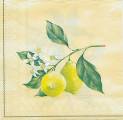 citron0009-1a.jpg (2680 octets)