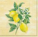 citron0009-1b.jpg (3208 octets)
