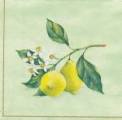 citron0009-2a.jpg (2460 octets)