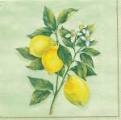 citron0009-2b.jpg (2925 octets)