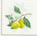 citron0009-3a.jpg (2741 octets)