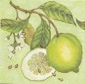 citron0010-1.jpg (3658 octets)