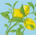 citron0012-1.jpg (3660 octets)