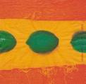 citron0013-1.jpg (2524 octets)