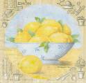 citron0019-1.jpg (3079 octets)