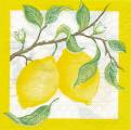 citron0021-1.jpg (3593 octets)