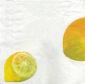 citron0023-1a.jpg (2088 octets)