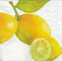 citron0023-1b.jpg (2782 octets)