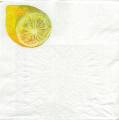 citron0023-1c.jpg (1700 octets)